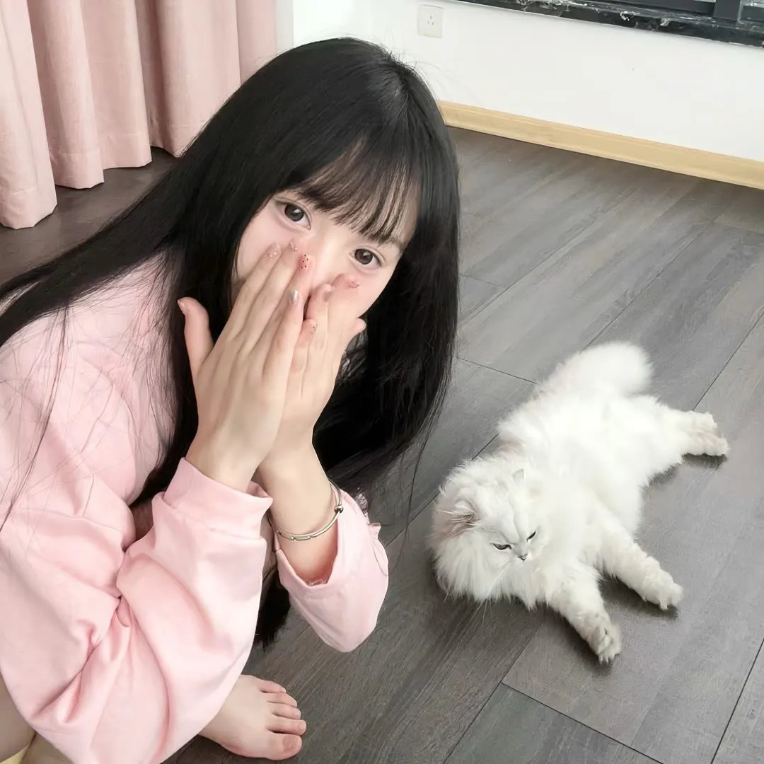 吧女斯黛拉 在线观看